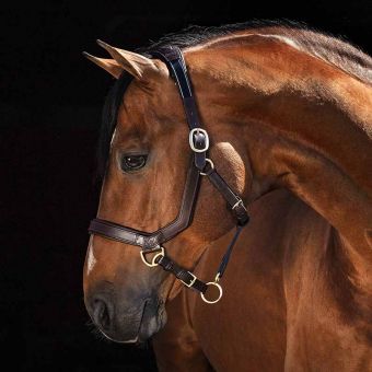 Licou en Cuir Rambo Micklem Marron