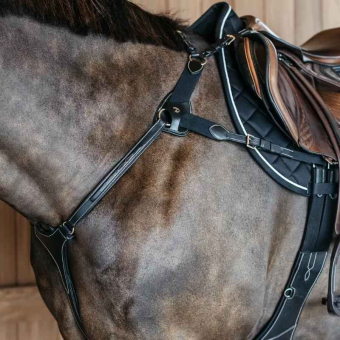 Collier de chasse 5 points Elastic Dyon Collection Noir
