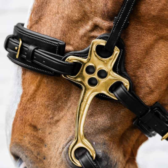 Hackamore Dyon Collection Noir