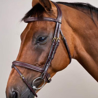 Bridon Combiné Plaited Dyon Collection Marron