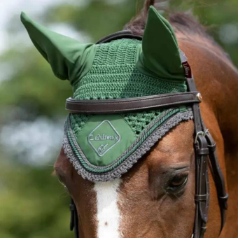 Bonnet Classic Vert/Gris