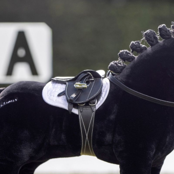 Selle Toy Pony Noir