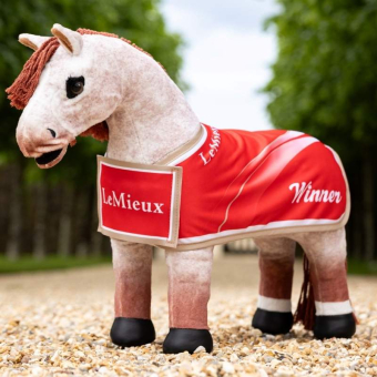 Couverture de compétition Toy Pony Winners Rouge