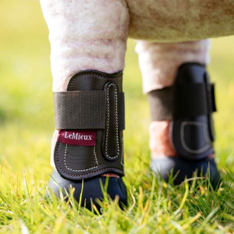 Protections des membres Toy Pony Capella 4-pack Marron