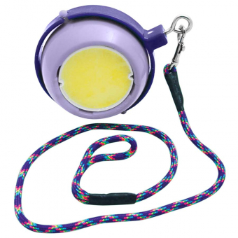 Titulaire Boredom Buster Violet