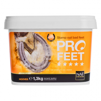 Poudre ProFeet 1,3 kg