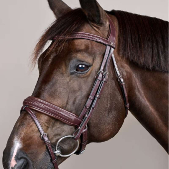 Bridon Plaited Pull Back New English Collection Marron