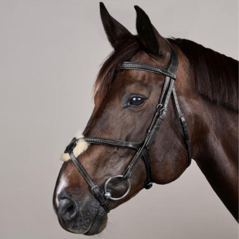 Bridon Muserolle croisée Plaited New English Collection Noir