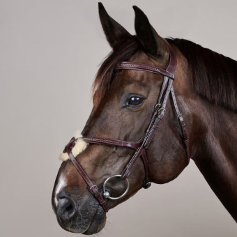 Bridon Muserolle croisée Plaited New English Collection Marron
