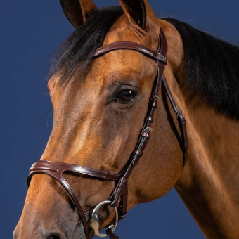 Bridon anatomique X-Fit New English Collection Marron