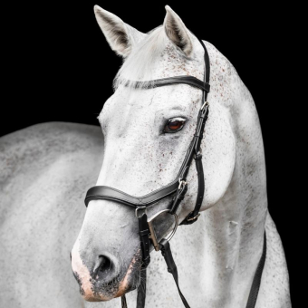 Bridon Micklem Competition Noir