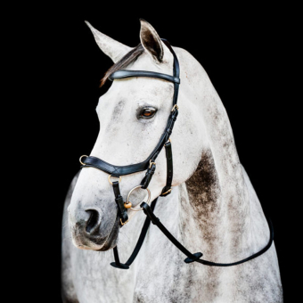 Bridon Micklem 2 Multi noir