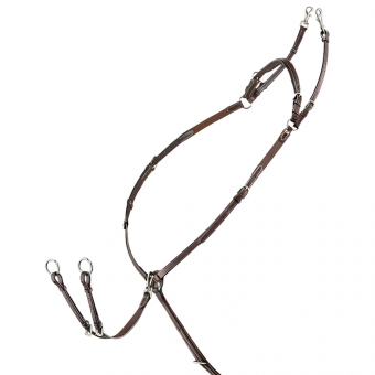 Colliers de chasse avec Martingale Amovible Marron