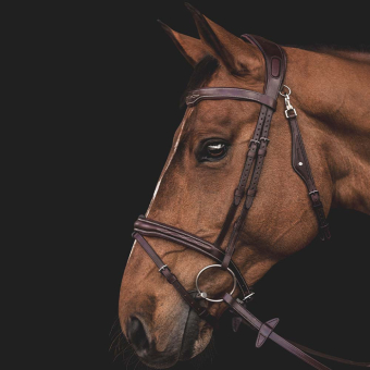 Bridon Ready To Ride avec surpiqûres marron
