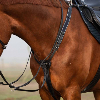 Colliers de chasse Rambo Micklem Noir