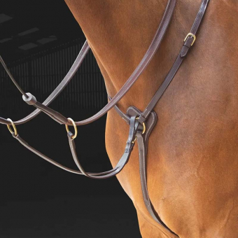 Colliers de chasse Salisbury Marron