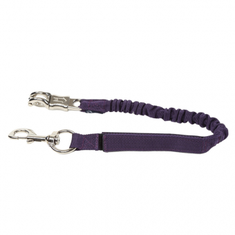 Longe de Transport Stretch Violet
