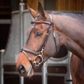 Bridon Quick Release Rapida Marron