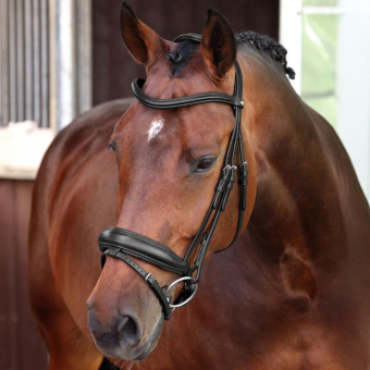 Bridon de dressage LUSSO Elite Noir