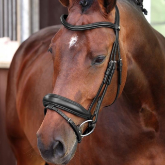 Bridon de dressage LUSSO Elite Noir