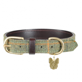 Collier pour chien en tweed/cuir vert 
