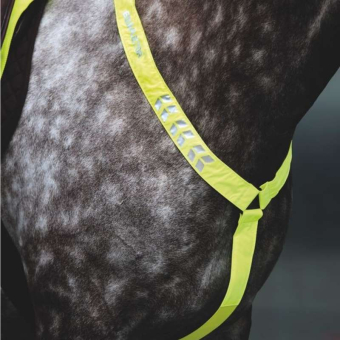 Collier de chasse Reflective Jaune