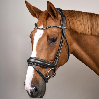Bridon de dressage Muserolle large Soft Collection Noir