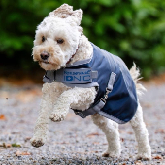 Manteau pour chien Ionic Therapy 50g Bleu/Argent