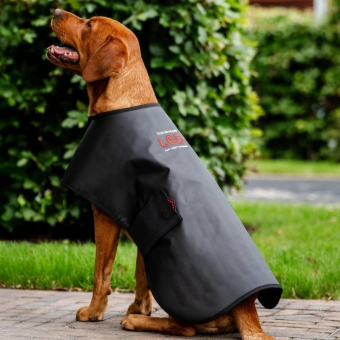 Manteau thérapeutique pour chien LED Red Light Therapy Noir 