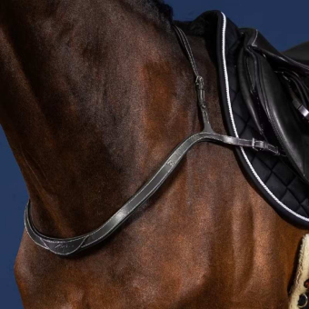 Collier de chasse Collar US Collection Noir
