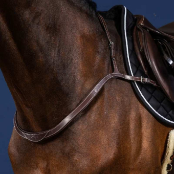 Collier de chasse Collar US Collection Marron