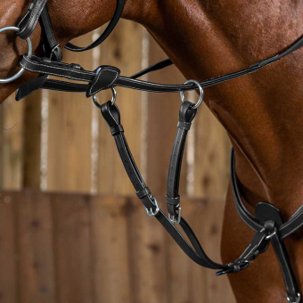 Martingale courte WC Marron Poney