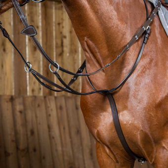 Martingale WC Marron