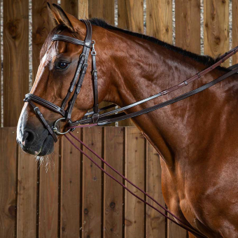 Rênes allemandes Cuir/Corde 16mm WC Brun