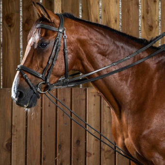 Rênes allemandes Cuir/Corde 16mm WC Noir