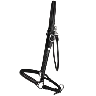 Halter de toilettage Leather WBD Noir
