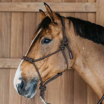 Halter en corde Training WBD Marron
