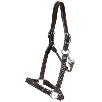 Halter en cuir Plaited WBD Marron