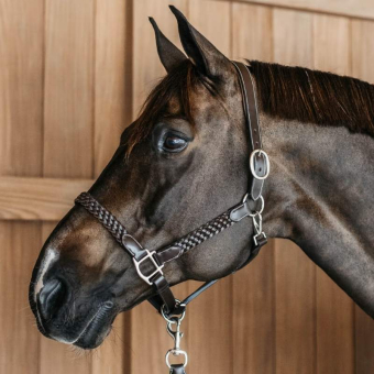 Halter en cuir Plaited WBD Marron
