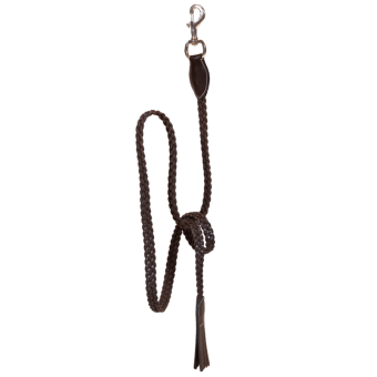 Halter en cuir Plaited WBD Marron