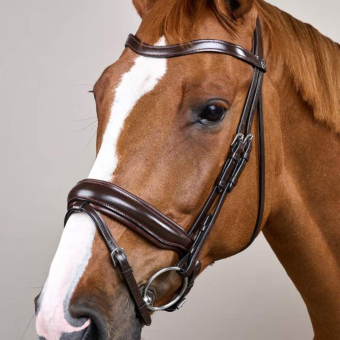 Bridon de dressage Mate Working Collection Marron