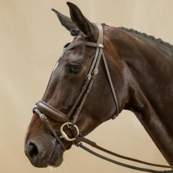 Bridon de dressage Mate Working Collection Marron