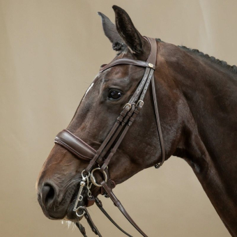 Bride de dressage Mate Working Collection Marron