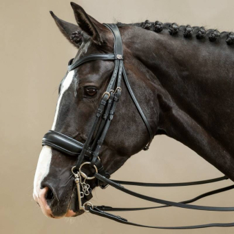 Bride de dressage Mat Working Collection Noir