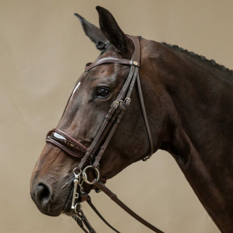 Bride de dressage Laqué Working Collection Marron