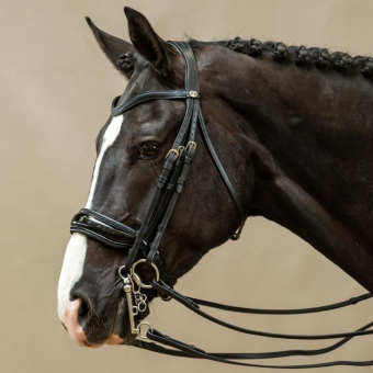 Bride de dressage Laqué Working Collection Noir