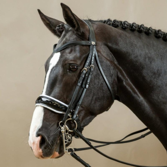 Bride de dressage Working Collection Noir/Blanc