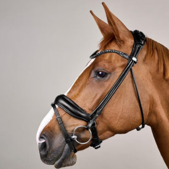 Bridon de dressage ComfoHead Working Collection Noir
