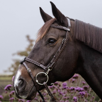 Bridon Plaited Training Working Collection Marron