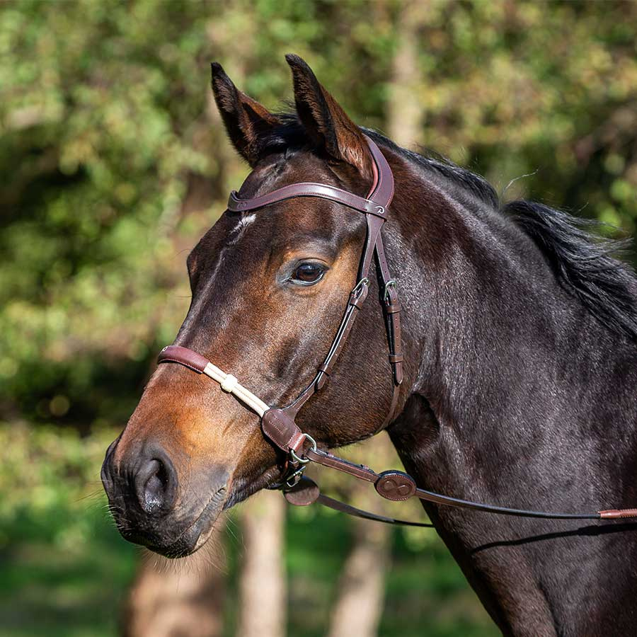 Bridon sans mors LCC Marron